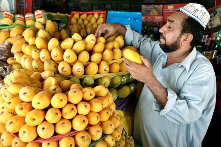Why did Aurangzeb name mangoes in Sanskrit?