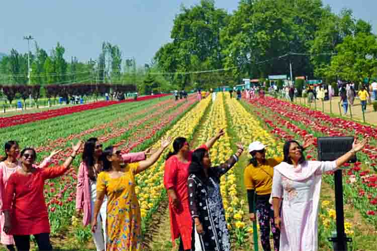 Happy youth in tulip garden, Jammu and Kashmir