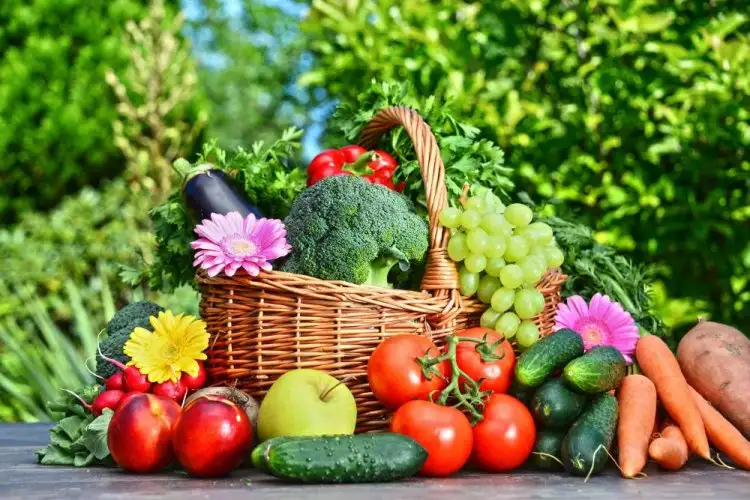 Horticulture production in India estimated to reach 353.19 million tonnes in 2023-24: Centre