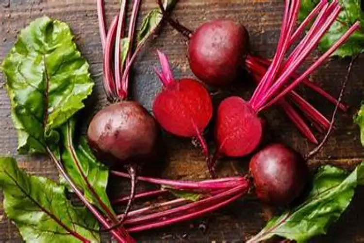 Superfood beetroot is full of health benefits, nutritionist lists its benefits