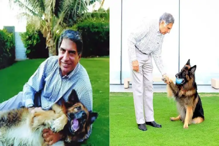 Ratan Tata includes his pet dog Tito in his Rs 10,000 crore will