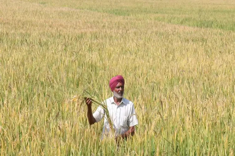 Punjab: Farmers move towards Phagwara in large numbers