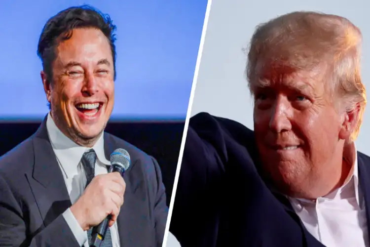 'A star is born': Trump praises Musk