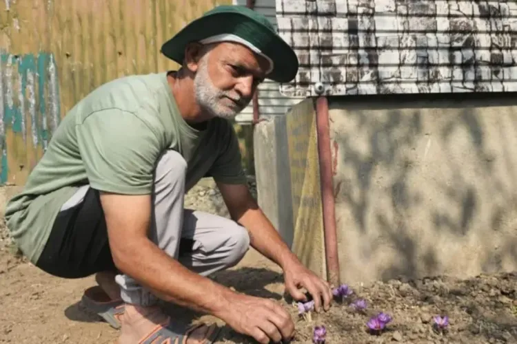 Farooq Ganai from Jammu and Kashmir used waste to grow saffron