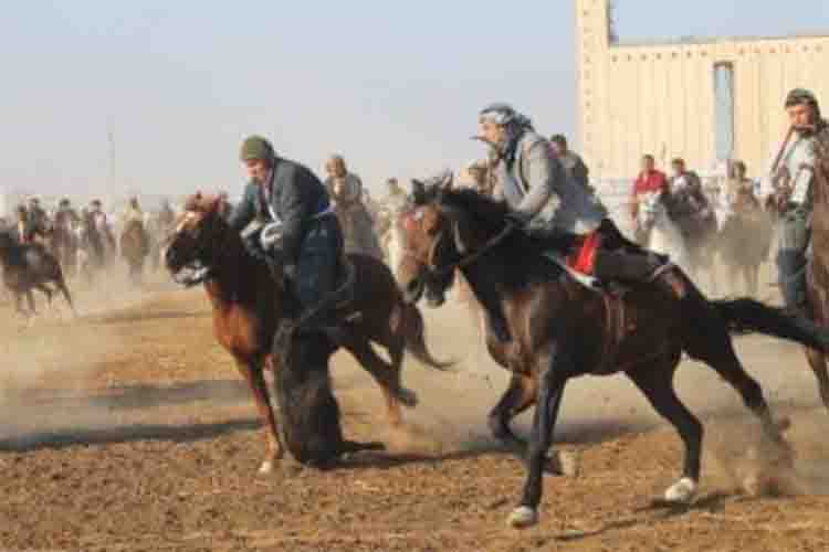 Buzkashi: The centuries-old sport that unites Afghanistan