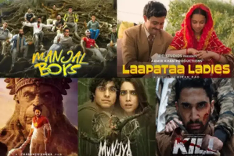 Year Ender 2024: Low budget films which created a stir