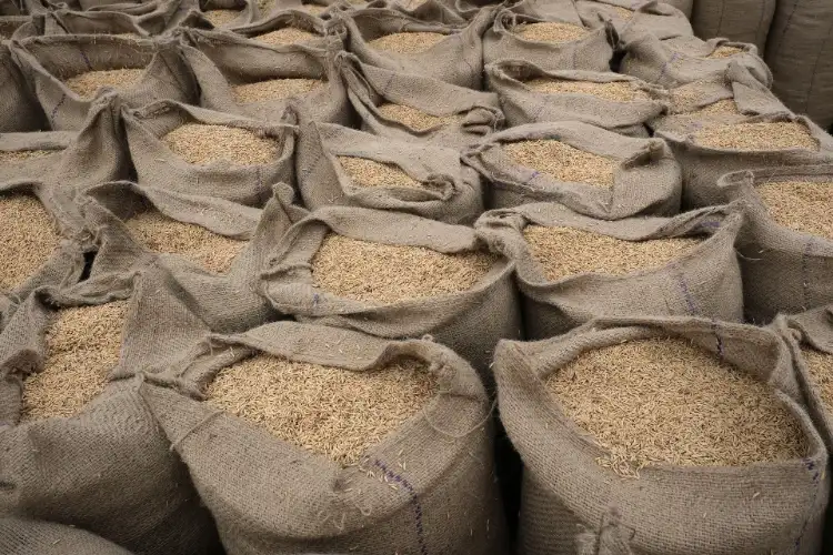 India exports 200,000 tonnes of rice to Bangladesh