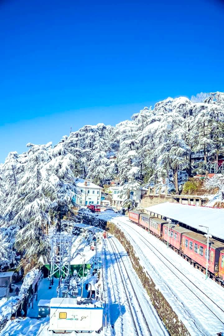 shimla