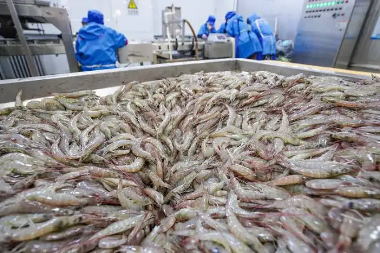 US shrimp group urges ban on Chinese seafood processor over forced labour claims