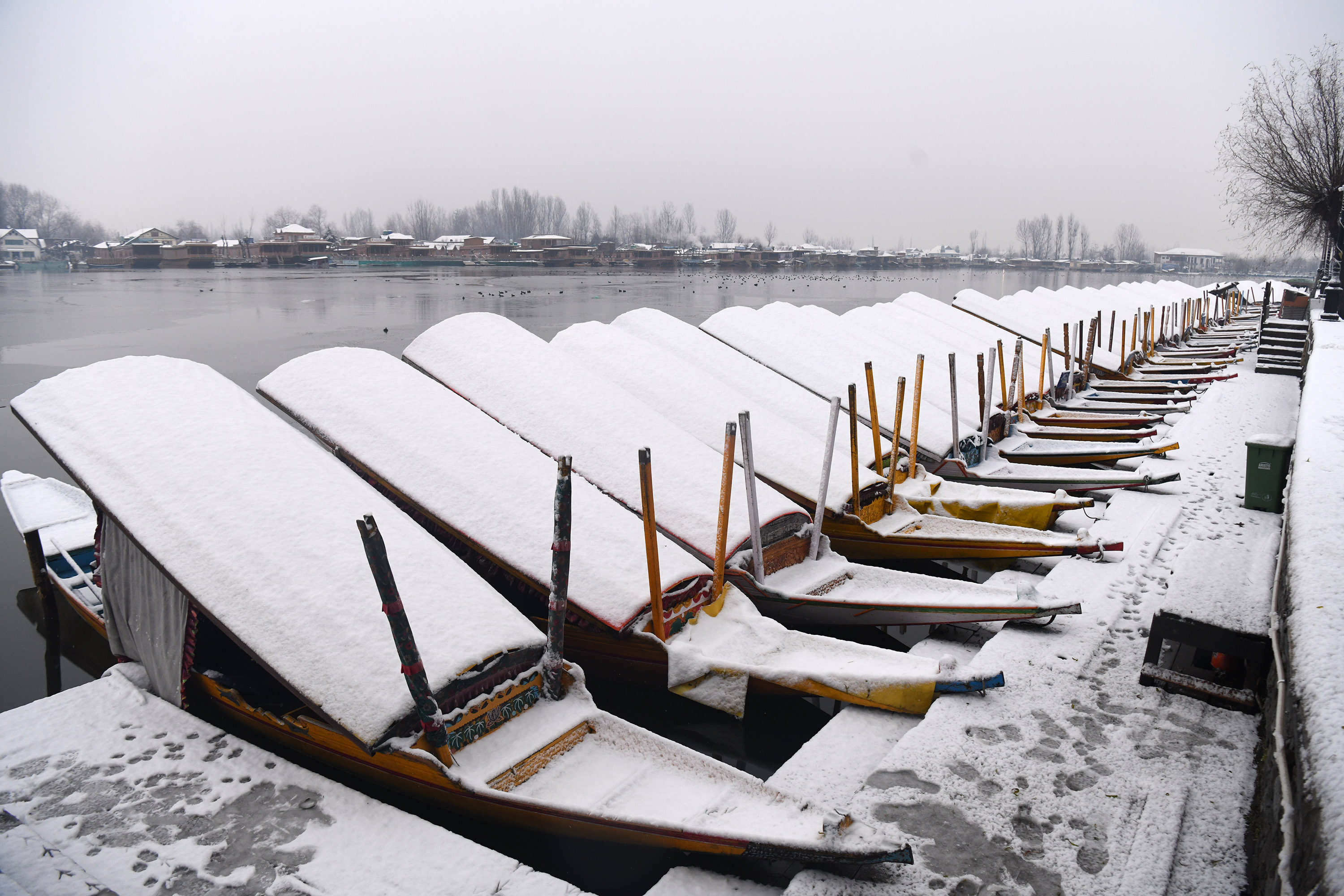 kashmir