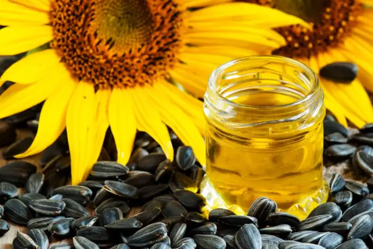 Sunflower seeds are very beneficial for health