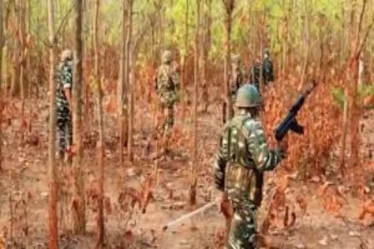 Chhattisgarh: 3 Naxals killed in encounter with security forces in Bijapur