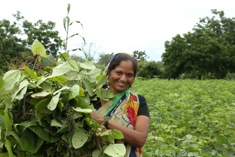 Agriculture affected by limited resources