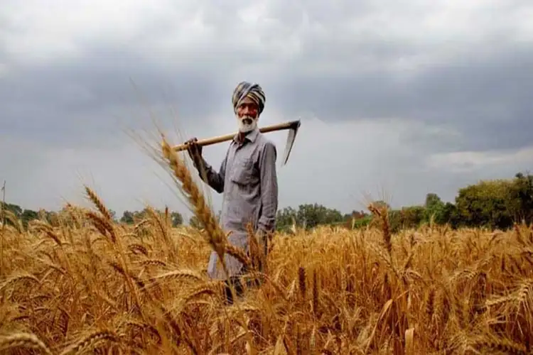 Strong growth in agriculture sector makes India a food-surplus powerhouse: Study