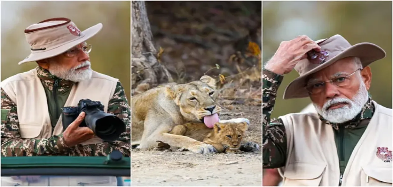 PM Modi enjoyed safari in Gir, celebrated 'World Wildlife Day' among lions