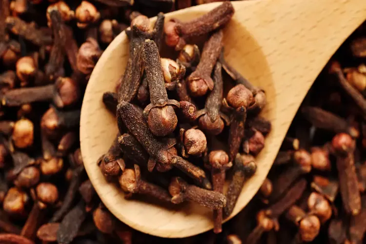 Why should cloves be chewed after meals?