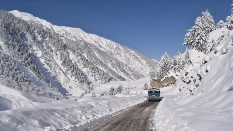 Zojila_pass_8f 